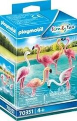 70351 PLAYMOBIL® Family Fun Flamingų pulkas kaina ir informacija | Konstruktoriai ir kaladėlės | pigu.lt