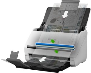 Сканер Epson B11B262401 цена и информация | Сканеры | pigu.lt