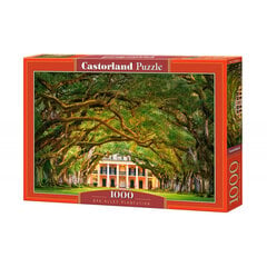 Пазл Castorland Puzzle Oak Alley Plantation, 1000 д. цена и информация | Пазлы | pigu.lt