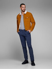 Мужские джинсы JJIMARCO 12150148, синие цена и информация | Мужские джинсы | pigu.lt