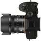 Sigma 24mm f/3.5 DG DN Contemporary lens for Sony kaina ir informacija | Objektyvai | pigu.lt