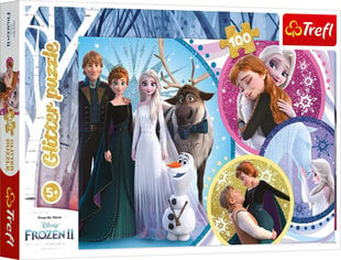 Dėlionė Frozen, 100 d kaina ir informacija | Dėlionės (puzzle) | pigu.lt