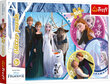 Dėlionė Frozen, 100 d kaina ir informacija | Dėlionės (puzzle) | pigu.lt