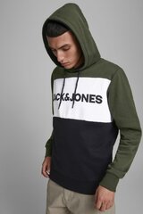 Vyriškas džemperis Jack&Jones kaina ir informacija | Megztiniai vyrams | pigu.lt