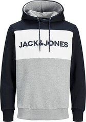 Мужская спортивная кофта Jack & Jones 12172344*01, тёмно-синяя /белая цена и информация | Мужские толстовки | pigu.lt