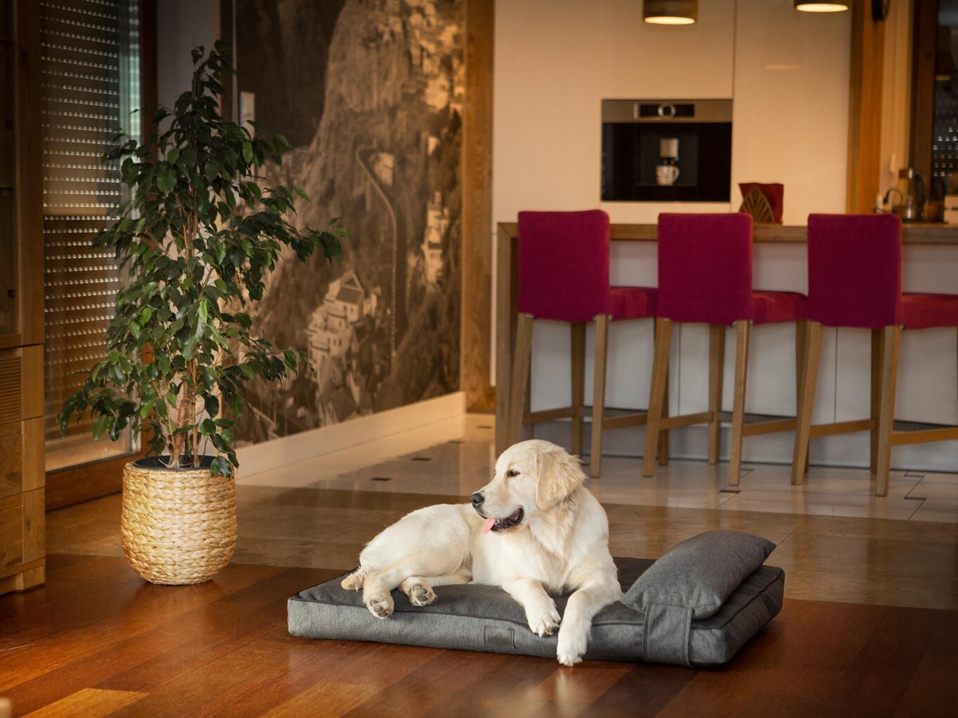 Hobbydog čiužinys augintiniui Move Graphite, M, 80x53 cm kaina ir informacija | Guoliai, pagalvėlės | pigu.lt
