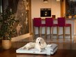 Hobbydog čiužinys augintiniui Move Grey, M, 80x53 cm kaina ir informacija | Guoliai, pagalvėlės | pigu.lt