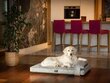 Hobbydog čiužinys augintiniui Move Light Grey, L, 100x65 cm kaina ir informacija | Guoliai, pagalvėlės | pigu.lt