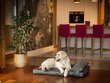 Hobbydog čiužinys augintiniui Move Graphite, XL, 118x78 cm kaina ir informacija | Guoliai, pagalvėlės | pigu.lt