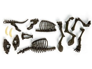 Набор археолога «Саблезубый тигр» цена и информация | Развивающие игрушки | pigu.lt