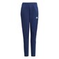 Sportinės kelnės berniukams Adidas Tiro21 Sweat Jr GK9675, mėlynos kaina ir informacija | Kelnės berniukams | pigu.lt