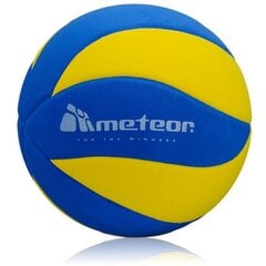 Волейбольный мяч Meteor Eva, размер 5 цена и информация | Волейбольные мячи | pigu.lt