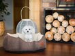 Hobbydog guolis New York Premium, M, Brown, 53x45 cm kaina ir informacija | Guoliai, pagalvėlės | pigu.lt