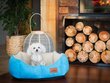 Hobbydog guolis New York Premium, L, Sky Blue, 60x52 cm kaina ir informacija | Guoliai, pagalvėlės | pigu.lt