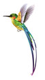 Interjero lipdukas Kolibris 2 50x150 cm