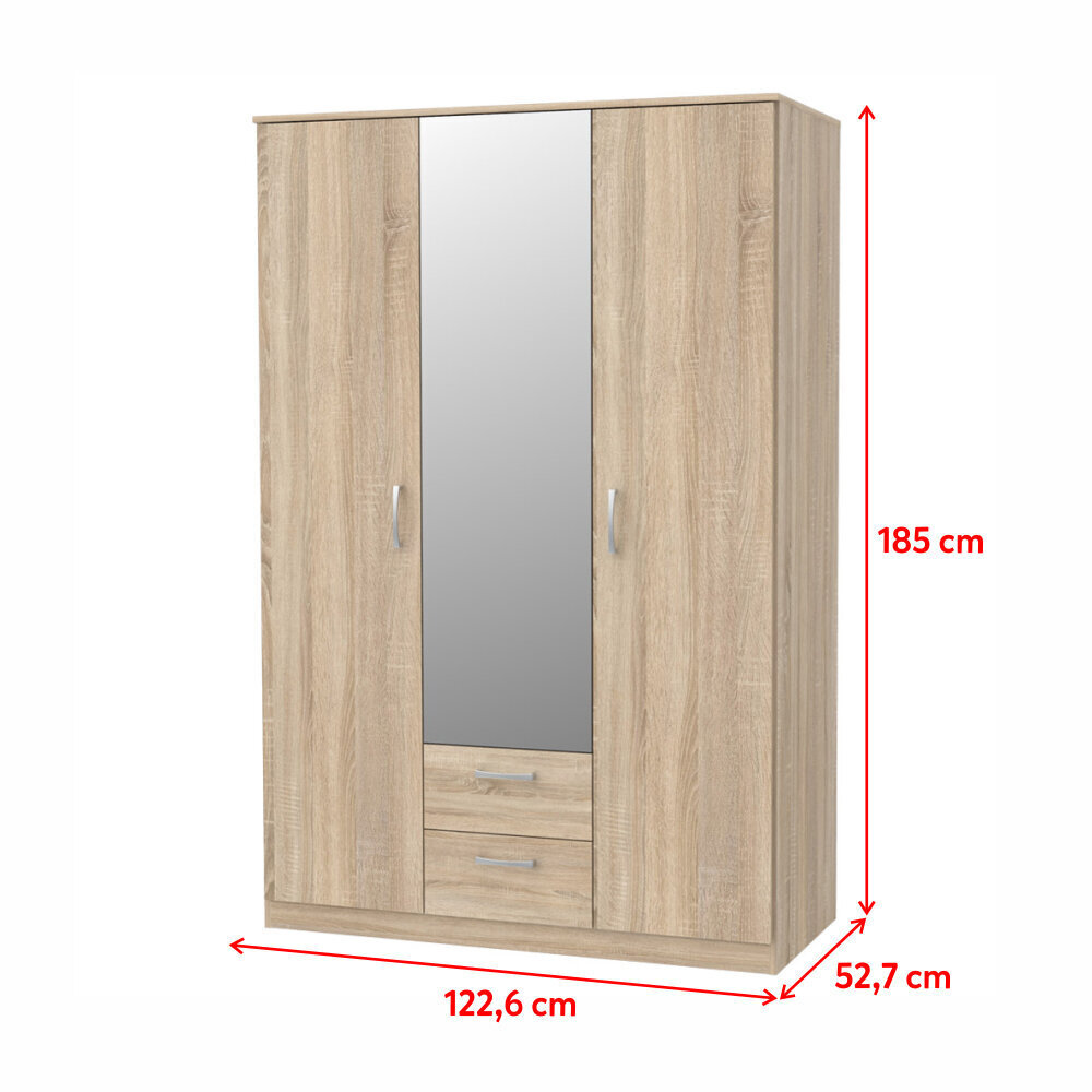 Spinta su veidrodžiu Selsey Niko, 122,6 cm, ąžuolo spalvos kaina ir informacija | Spintos | pigu.lt