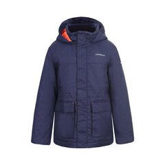 Горнолыжная курткадля мальчиков Icepeak Linton цена и информация | Куртка для мальчика | pigu.lt
