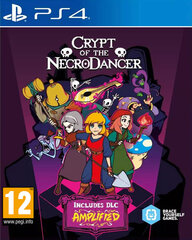 PS4 Crypt of the NecroDancer цена и информация | Компьютерные игры | pigu.lt