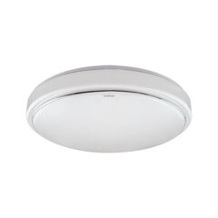 Потолочный светильник с датчиком движения sola led mvs 12w 4000k STRÜHM (80 x 260 x 260 мм) цена и информация | Потолочные светильники | pigu.lt