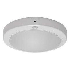 потолочный светильник с датчиком движения lopez led s 18w 4000k белый  STRÜHM, 67x240x240 мм цена и информация | Монтируемые светильники, светодиодные панели | pigu.lt