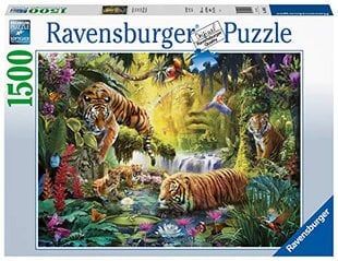 Dėlionė Ravensburger Ramūs tigrai, 1500 d. kaina ir informacija | Dėlionės (puzzle) | pigu.lt