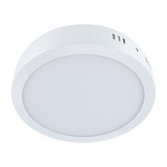 Martin led c baltas 24w 4000k lubinis smd led šviestuvas Struhm 35 x 300 x 300 mm kaina ir informacija | Įmontuojami šviestuvai, LED panelės | pigu.lt