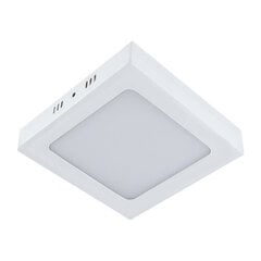 Светодиодный потолочный светильник smd STRÜHM martin led d белый 12w 4000k, 35 x 170 x 170 мм цена и информация | Монтируемые светильники, светодиодные панели | pigu.lt