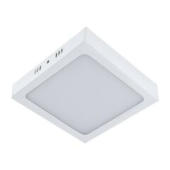 Светодиодный потолочный светильник smd STRÜHM martin led d белый 24w 4000k, 35 x 300 x 300 мм цена и информация | Монтируемые светильники, светодиодные панели | pigu.lt