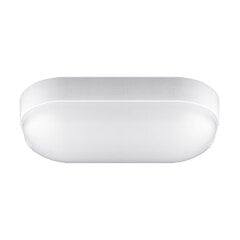 Герметичный потолочный светильник led STRÜHM markus led l 9w 4500k, 58 x 195 x 95 мм цена и информация | Монтируемые светильники, светодиодные панели | pigu.lt