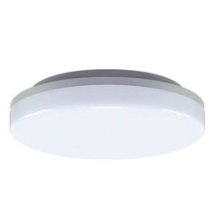Герметичный потолочный светильник STRÜHM major led c 18w белый 4000k, 50 x 220 x 220 мм цена и информация | Потолочные светильники | pigu.lt