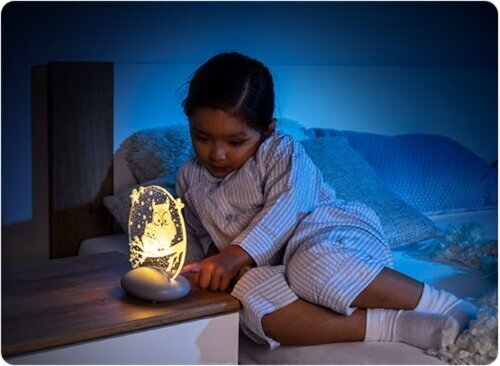 Reer ColourLumy vaikiškas naktinis LED šviestuvas - Pelėdos цена и информация | Vaikiški šviestuvai | pigu.lt