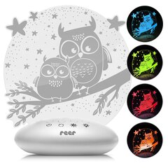 Ночной светильник REER LED ColourLumy Owls цена и информация | Детские светильники | pigu.lt