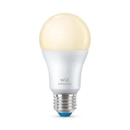 Led lempa 60W A60 E27 kaina ir informacija | Elektros lemputės | pigu.lt