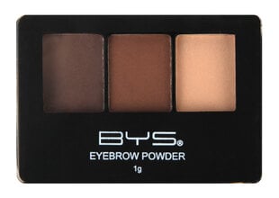 Пудра для бровей Trio Perfect Brows BYS, 1 г цена и информация | Карандаши, краска для бровей | pigu.lt