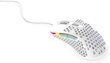 pelė Xtrfy M42 RGB, balta kaina ir informacija | Pelės | pigu.lt