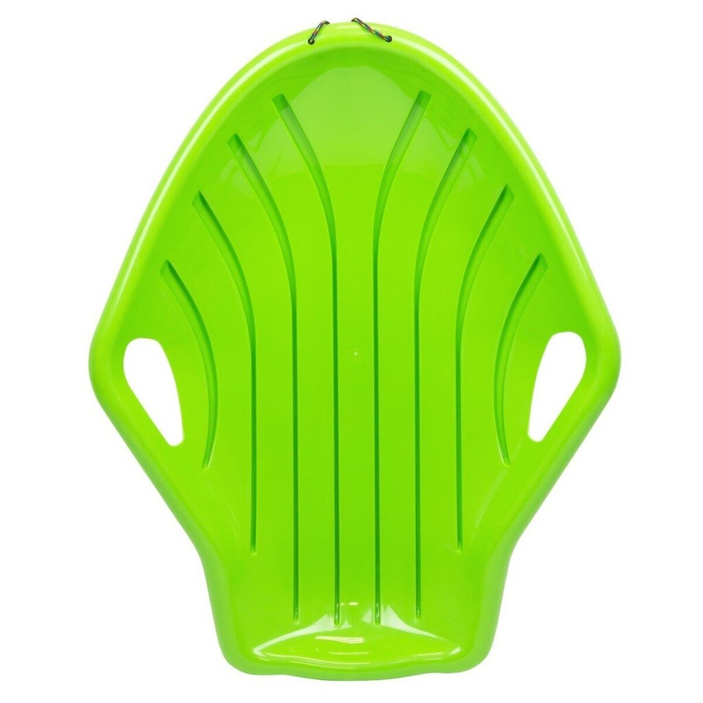 Plastikinė čiuožynė Prosperplast Big M, šviesiai žalia цена и информация | Rogutės | pigu.lt