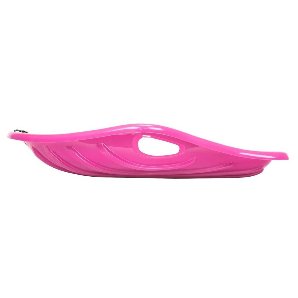 Plastikinė čiuožynė Prosperplast Big M, rožinė kaina ir informacija | Rogutės | pigu.lt