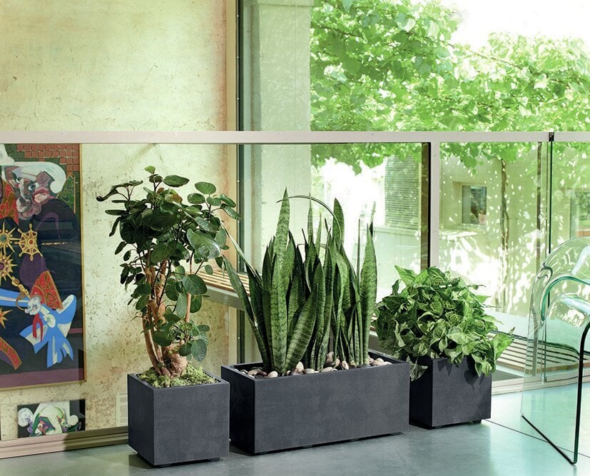 Gėlių vazonas "Antracitas" su vandens rezervuaru, 25 cm kaina ir informacija | Vazonai | pigu.lt