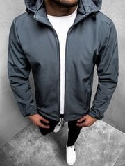 Куртка для мужчин Luter, серая цена и информация | Мужские куртки | pigu.lt