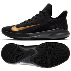 Krepšinio bateliai vyrams Nike precision IV M CK1069002, juodi kaina ir informacija | Kedai vyrams | pigu.lt