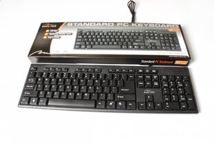 Media-Tech MT122KUUS keyboard USB QWERTY Black цена и информация | Клавиатуры | pigu.lt