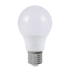 Солнечная светодиодная лампа STRÜHM iris led 38 0,06w 4500k, 385 x 80 x 80 мм цена и информация | Электрические лампы | pigu.lt