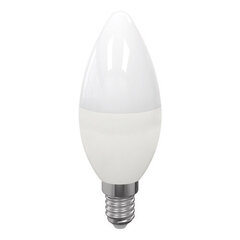 Солнечная светодиодная лампа STRÜHM tulip led 36 0,06w 6500k, 360 x 120 x 120 мм цена и информация | Электрические лампы | pigu.lt