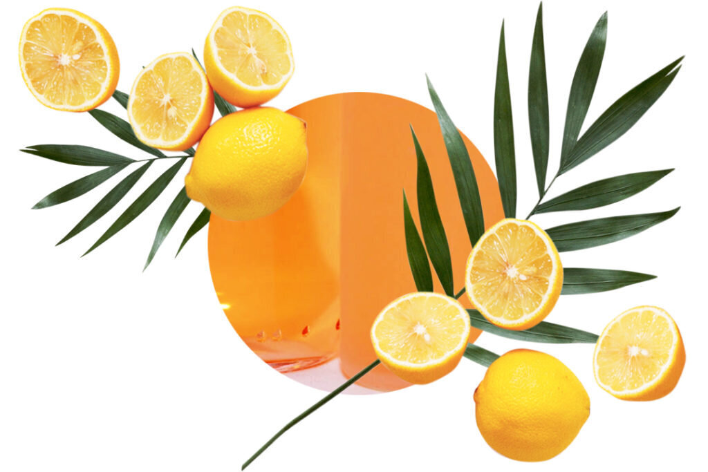Namų kvapo Mediterranean Citrus rinkinys su Marselio muilu Carbaline 250ml kaina ir informacija | Namų kvapai | pigu.lt