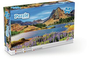 Dėlionė Grafix Ežero vaizdas (Traditional Lakeview),1000 d. kaina ir informacija | Dėlionės (puzzle) | pigu.lt