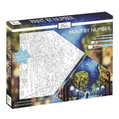 Набор для рисования по номерам Nassau, Прогулка в полночь (Midnight walk), 40x50 см цена и информация | Живопись по номерам | pigu.lt