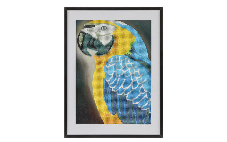 Dekoravimo rinkinys Craft Sensation, Papūga (Parrot), 30x40 cm kaina ir informacija | Deimantinės mozaikos | pigu.lt