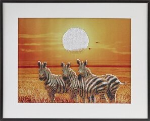 Dekoravimo rinkinys Craft Sensation, Zebras (Zebra), 40x50 cm kaina ir informacija | Deimantinės mozaikos | pigu.lt