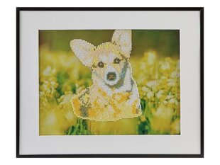 Dekoravimo rinkinys Craft Sensation, Šuo (Dog), 40x50 cm kaina ir informacija | Deimantinės mozaikos | pigu.lt