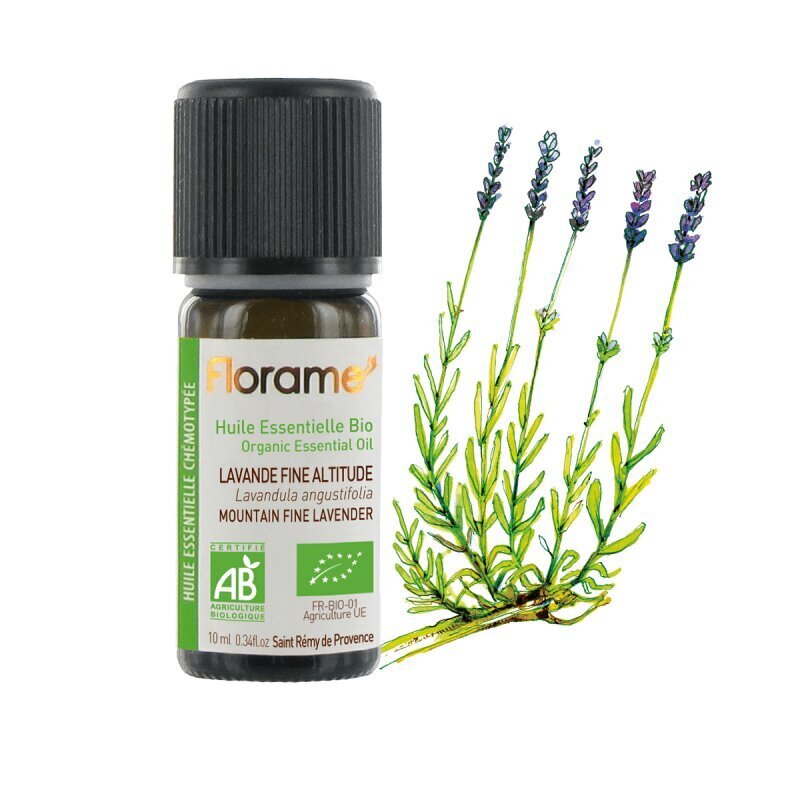 Tikrųjų kalnų levandų Florame, 10 ml цена и информация | Eteriniai, kosmetiniai aliejai, hidrolatai | pigu.lt